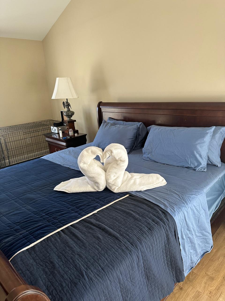 Towel Art & Presentation